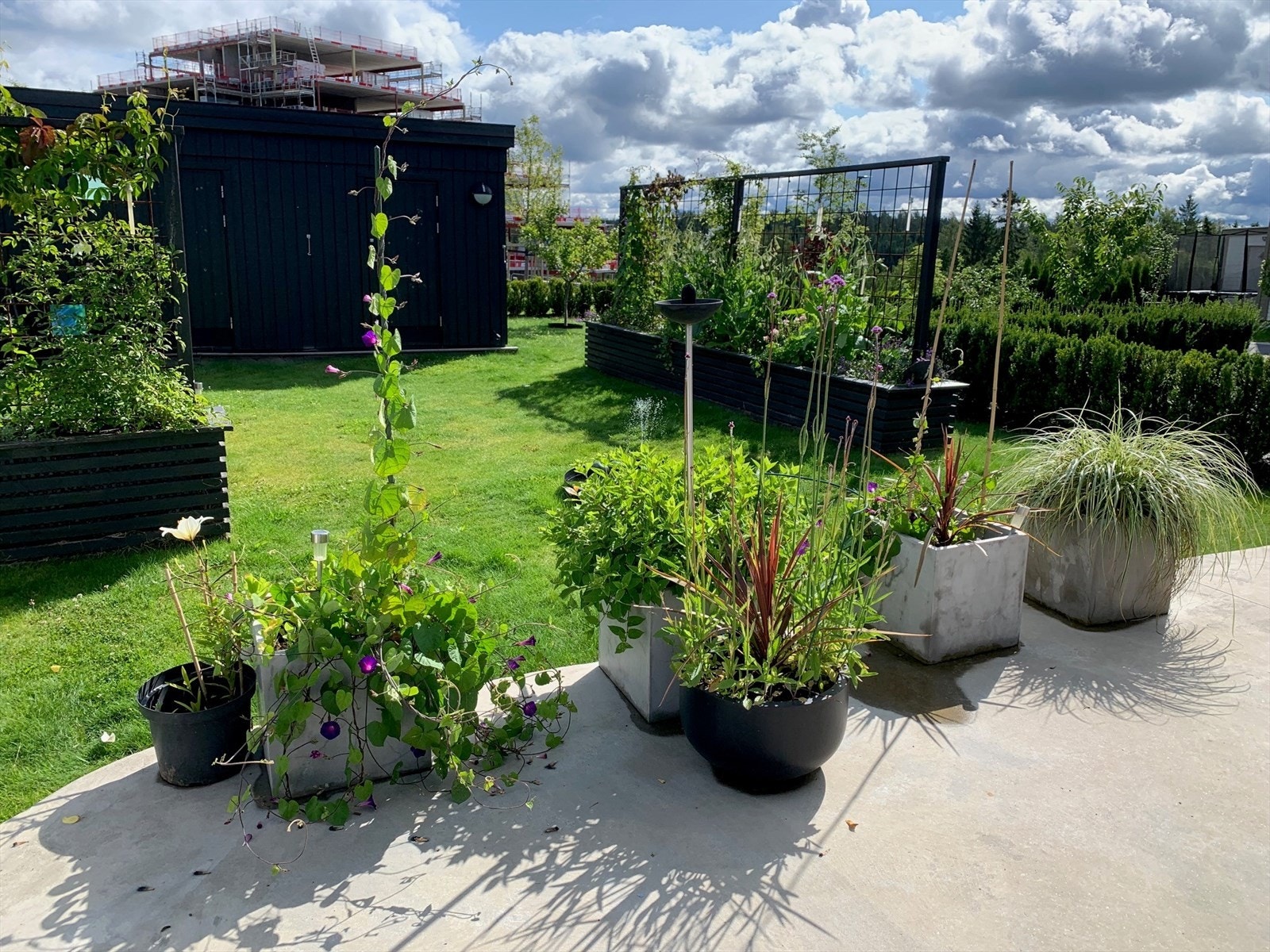 Selgers egne bilder. Galleribilde