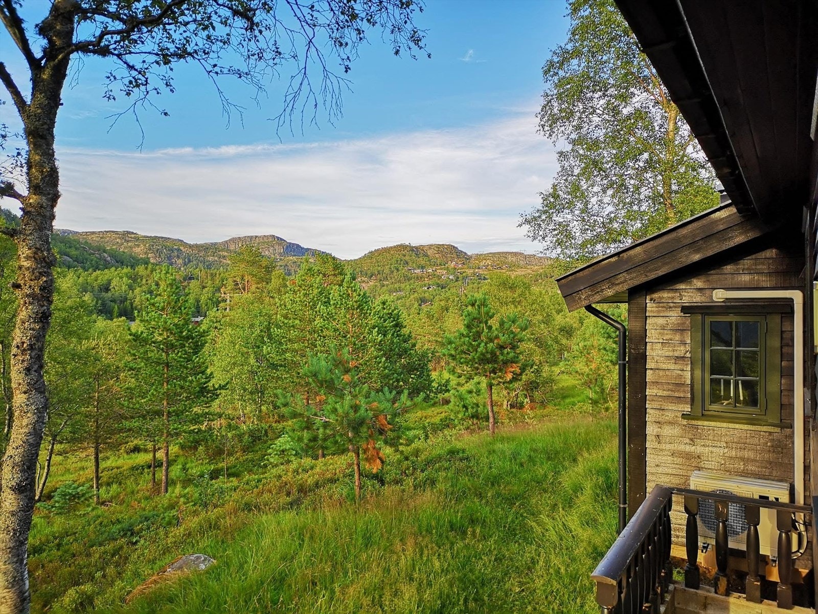 Sommer på Josdal Galleribilde