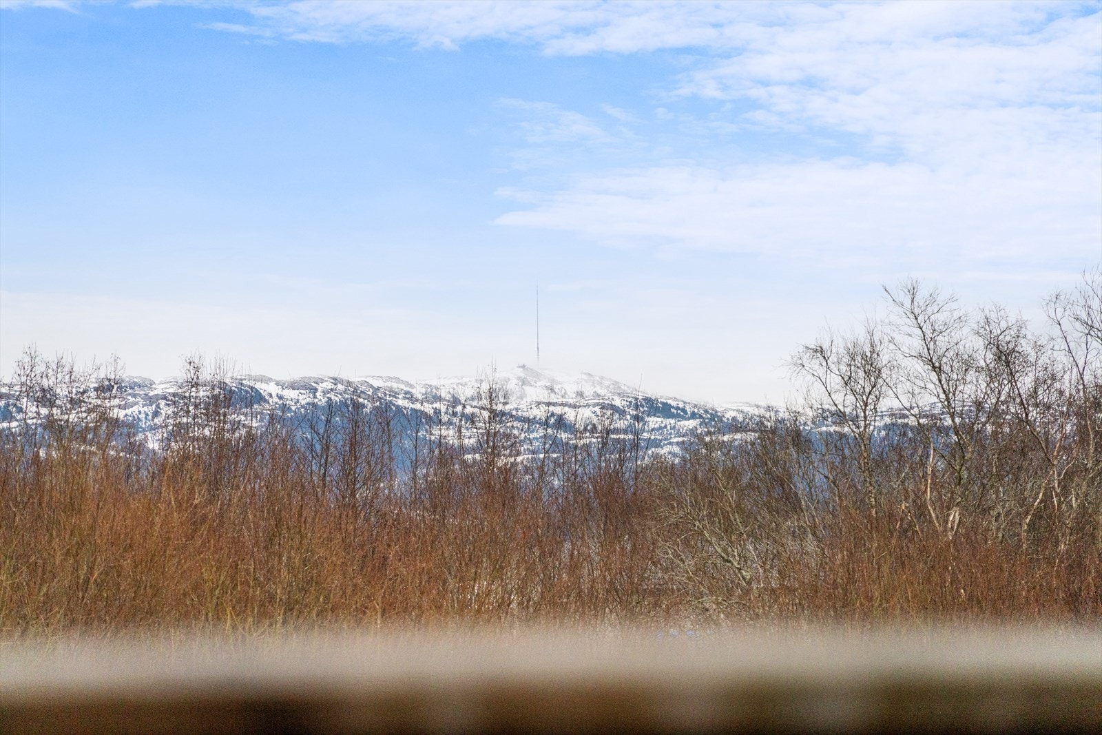 Flott utsikt. Galleribilde