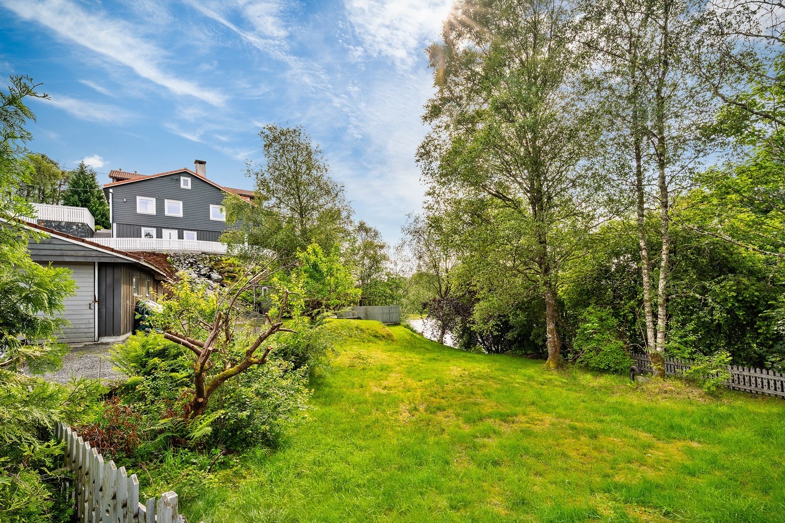 Pene trær på egen tomt. Galleribilde