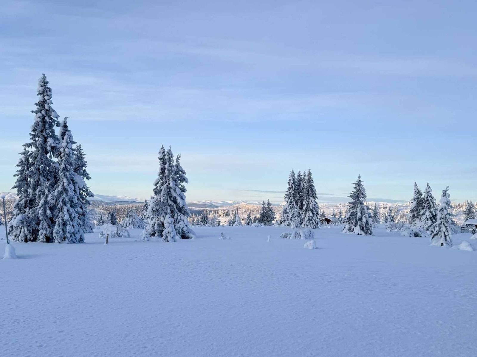 Foto fra tomtene februar 2026 Galleribilde