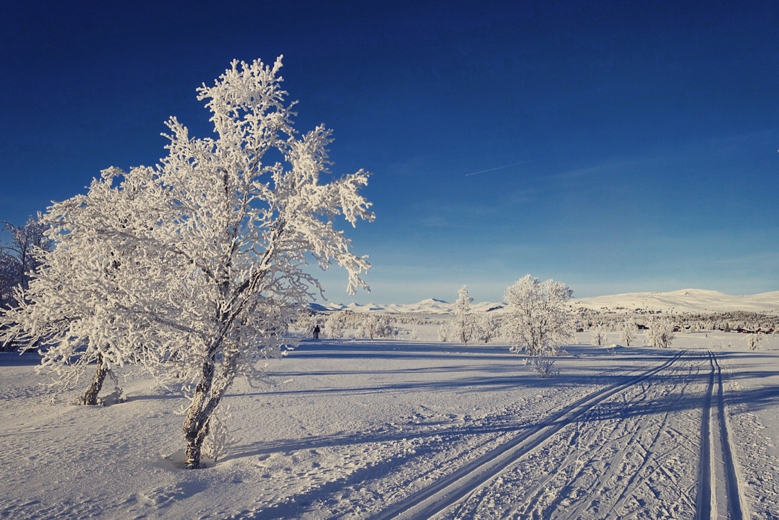 Nydelig landskap med skue mot Rondane! Galleribilde