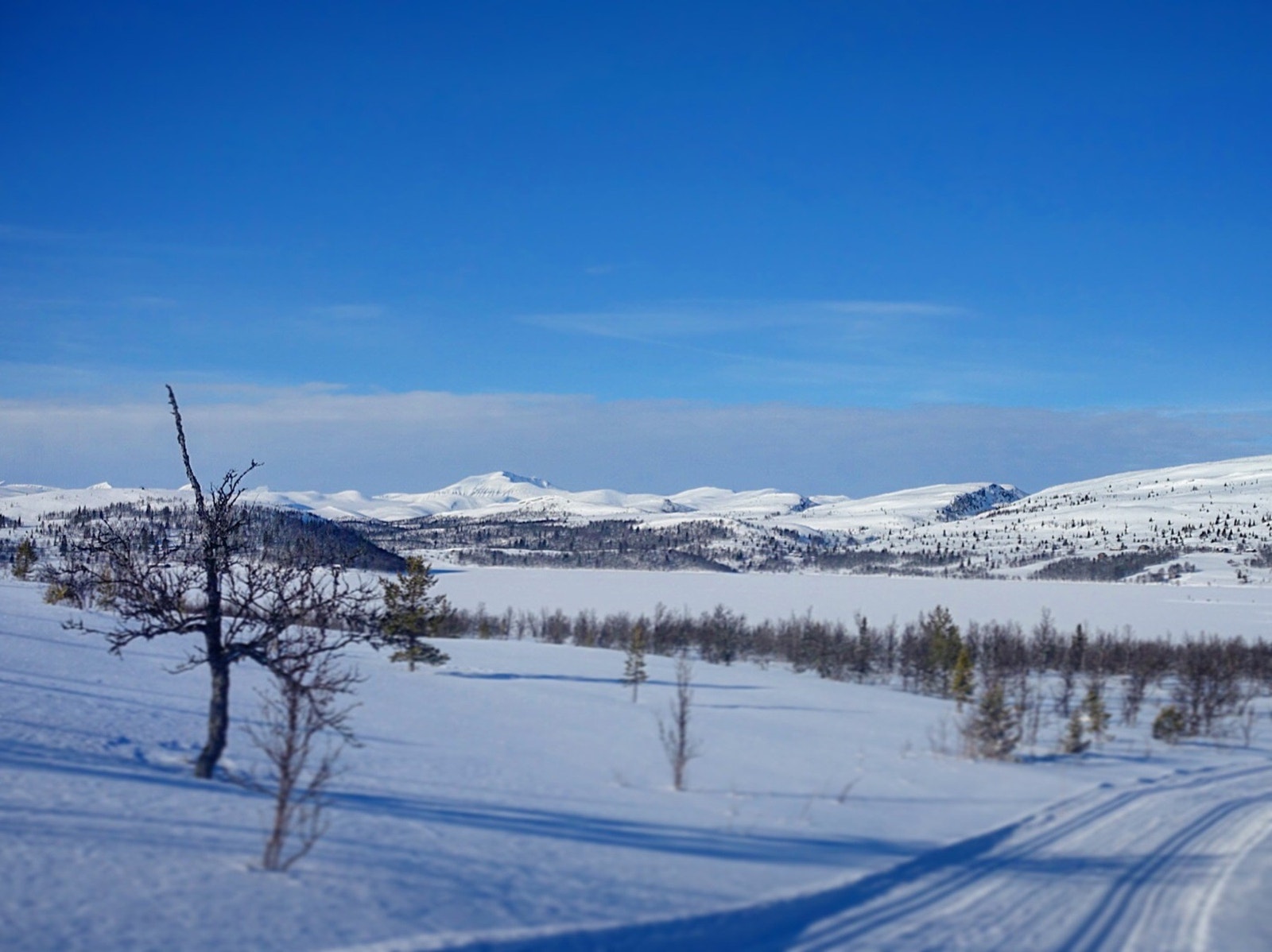 Rondane i det fjerne Galleribilde