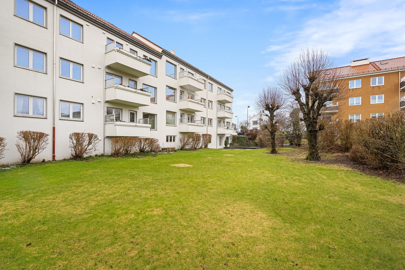 Fasade. Galleribilde