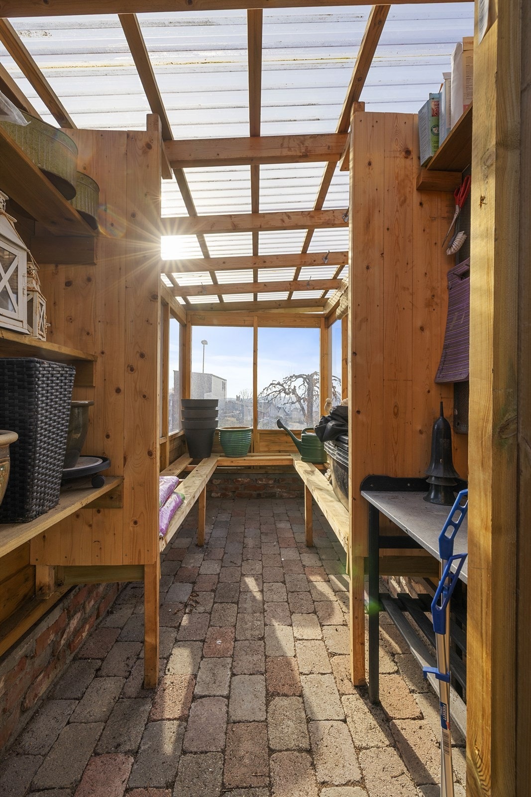 Drivhus Galleribilde