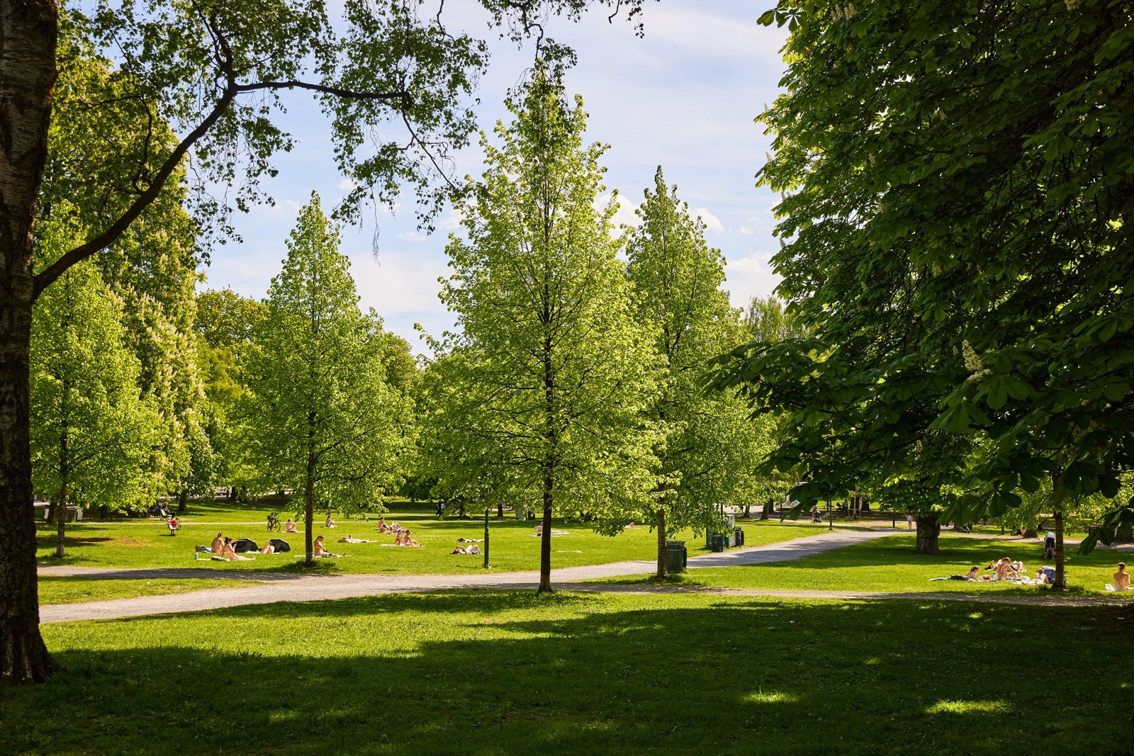 Sofienbergparken Galleribilde
