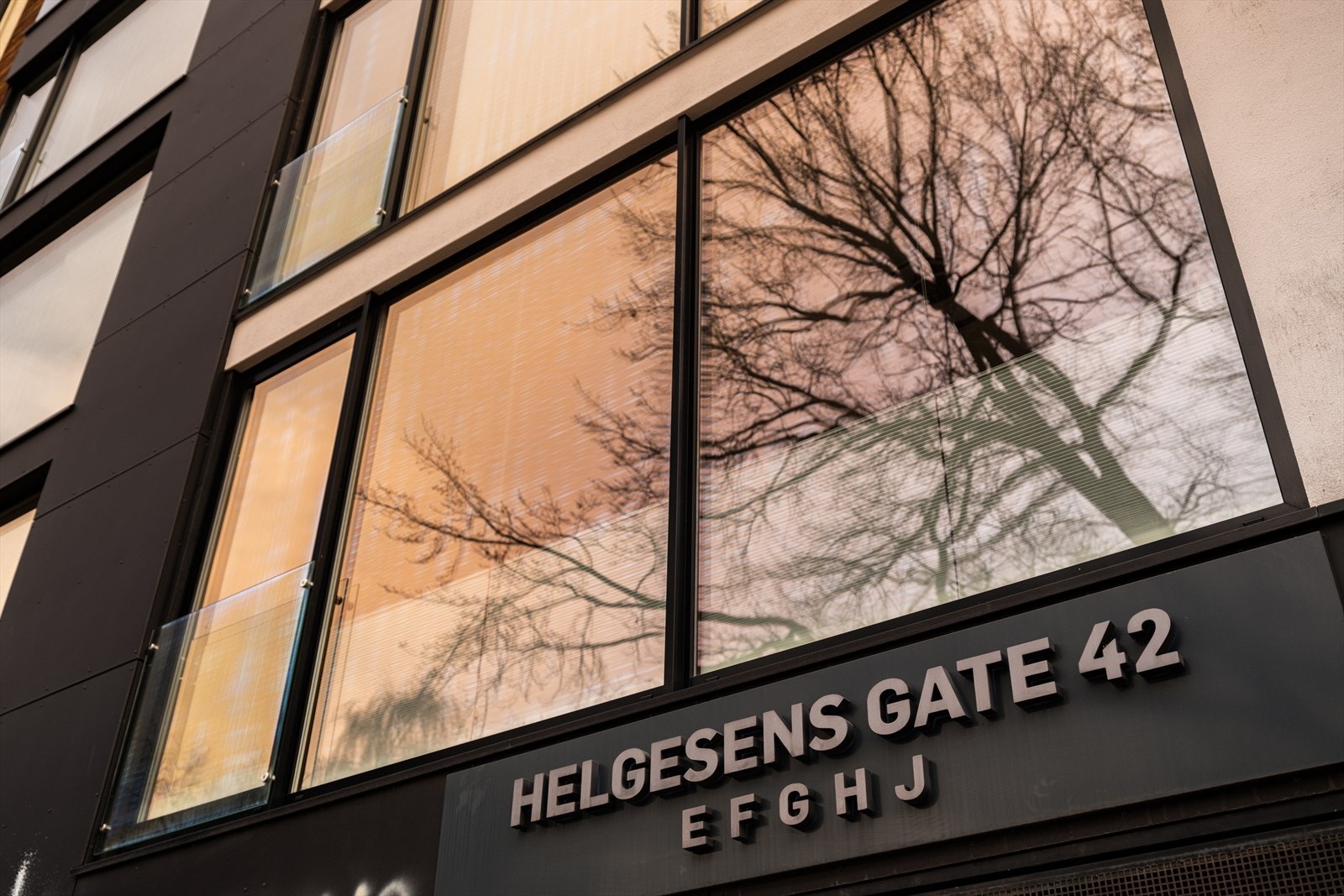 Velkommen til en hyggelig visning! Galleribilde