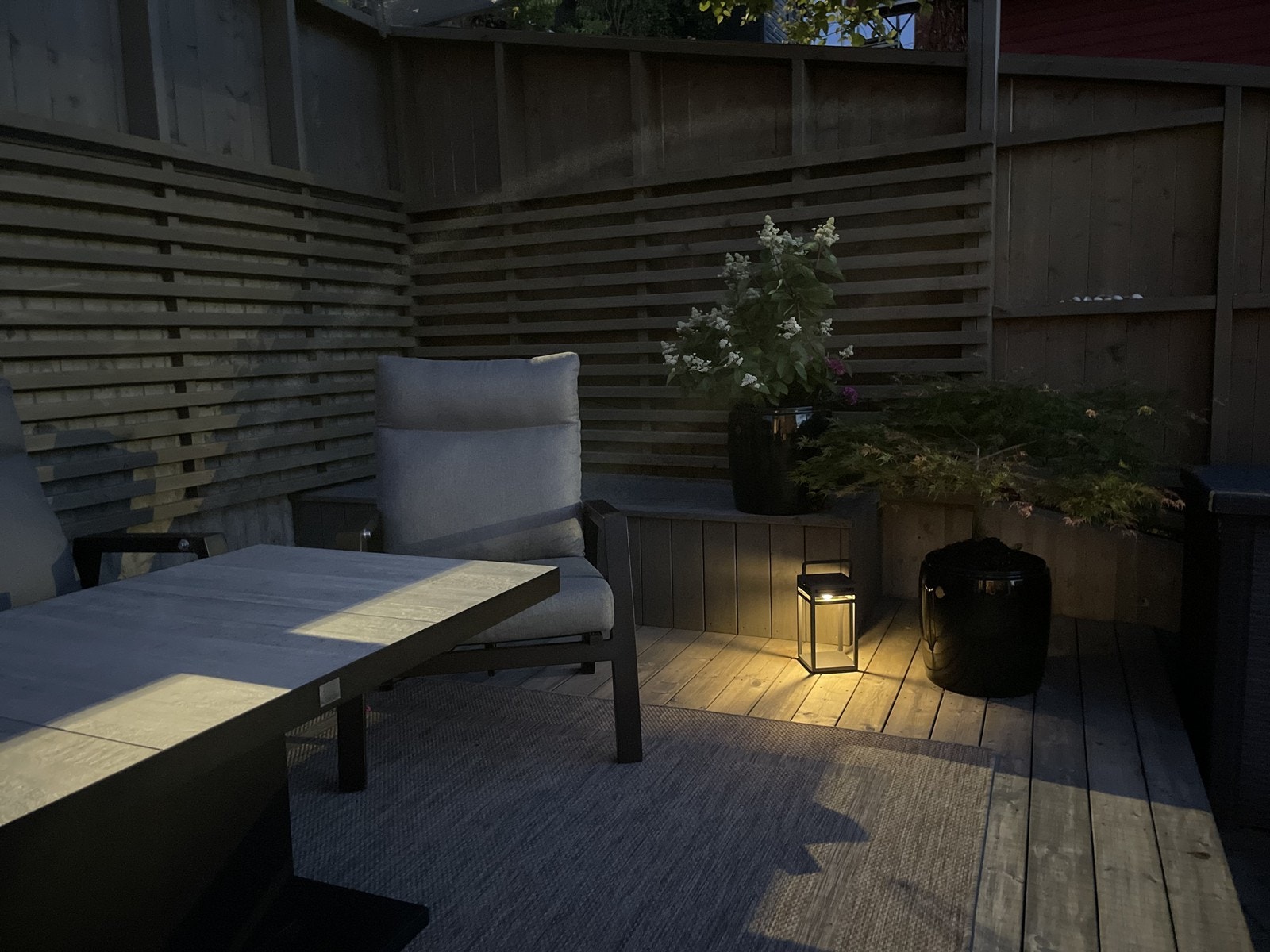 Kveldsstemning Galleribilde