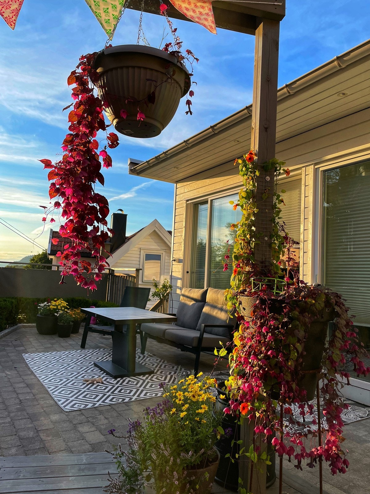 Sommerbilde Galleribilde