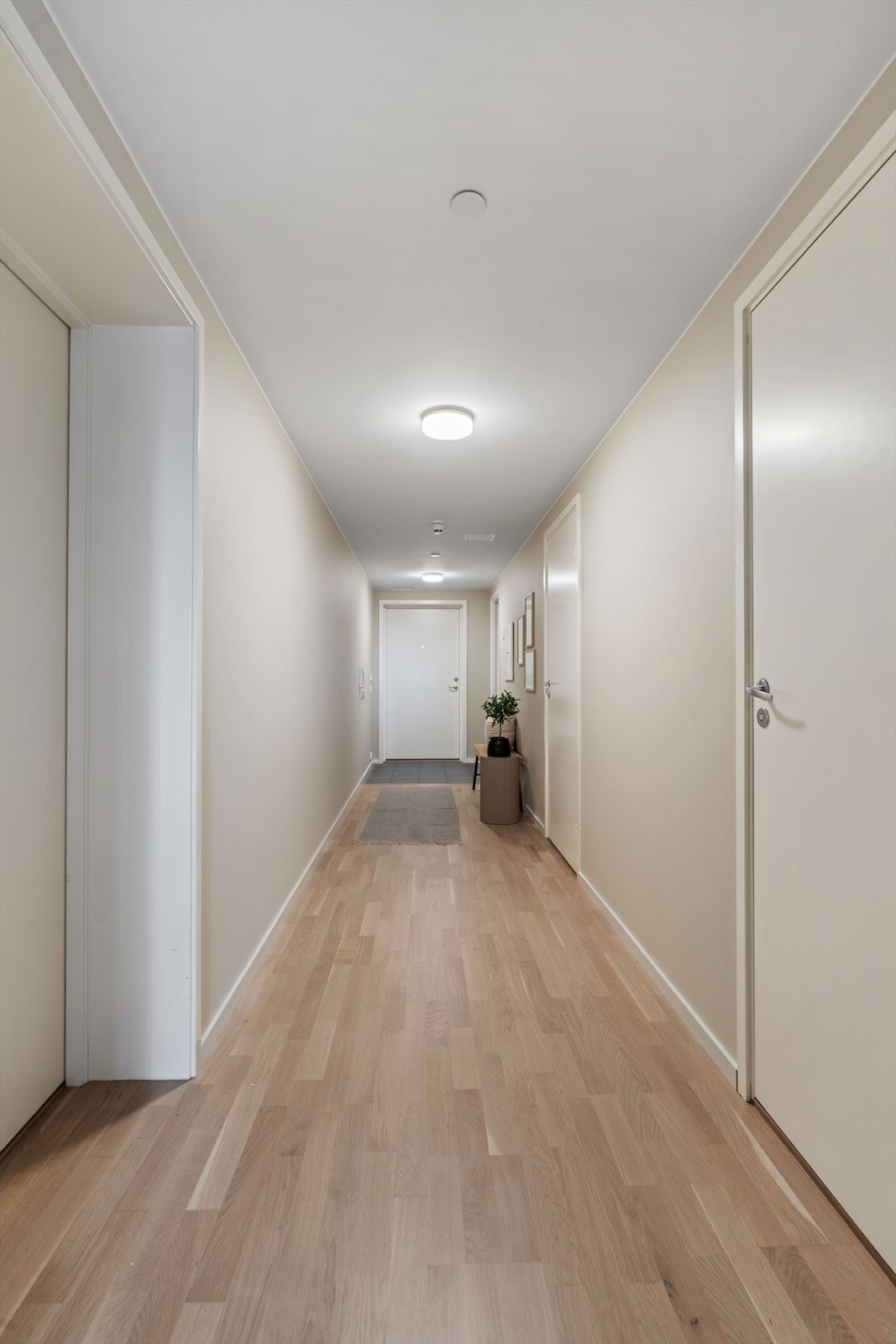 Gangen binder rommene i leiligheten sammen på en effektiv måte. Galleribilde