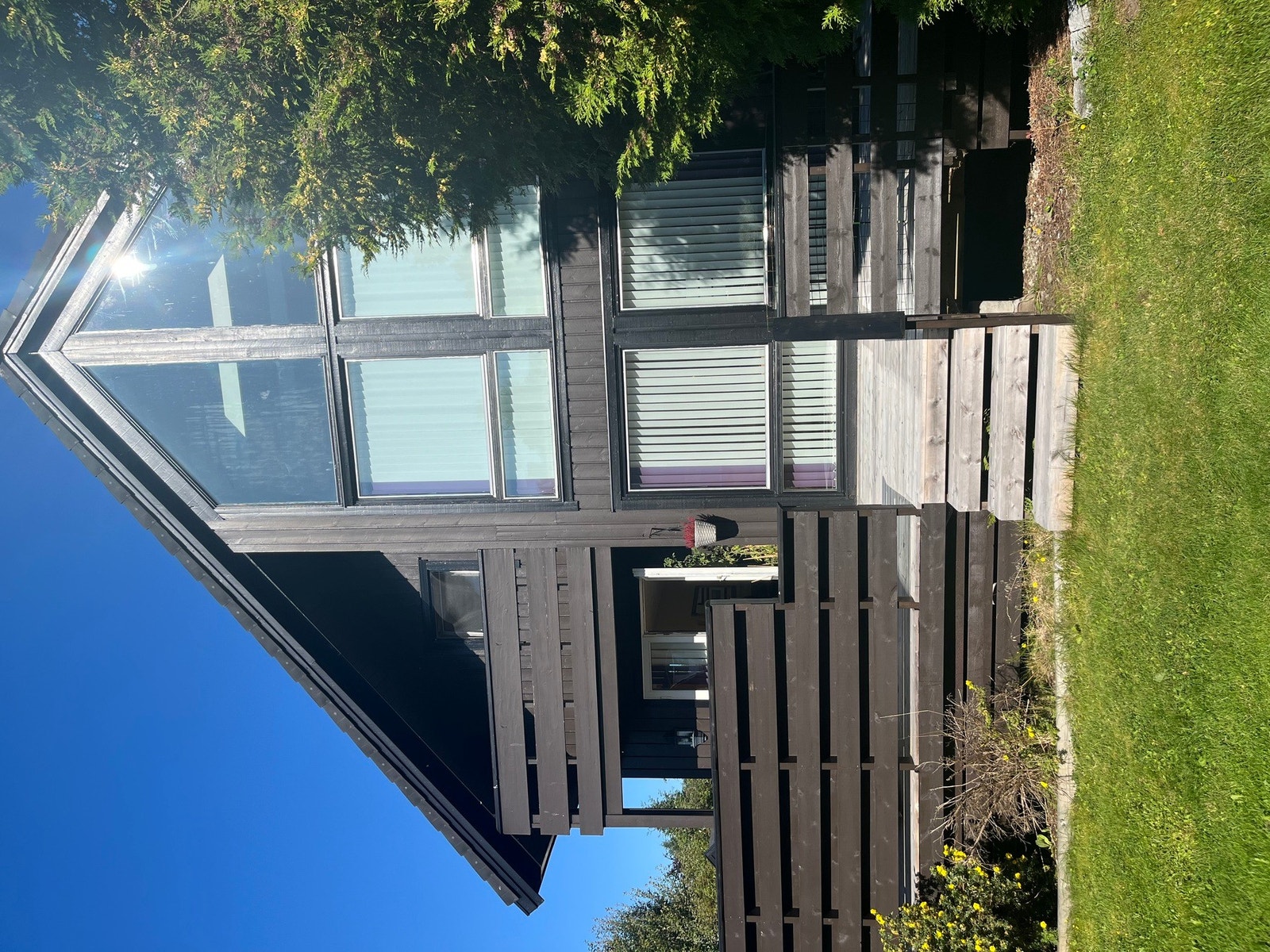 (Privat sommerbilde) Galleribilde