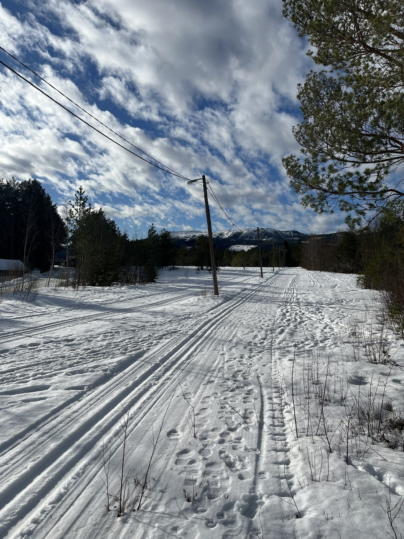 (Privat bilde) Kort gange til lysløypa med fine preparerte skiløyper på vinteren Galleribilde