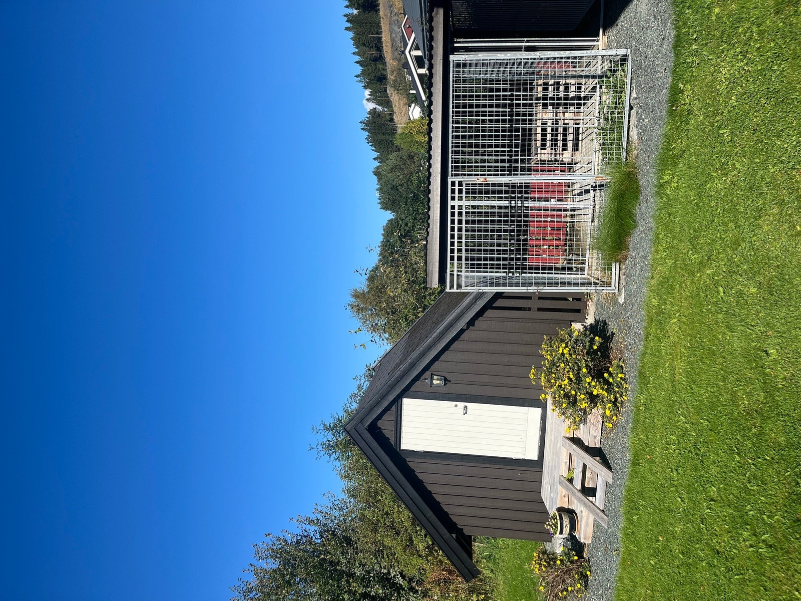 (Privat sommerbilde) Galleribilde