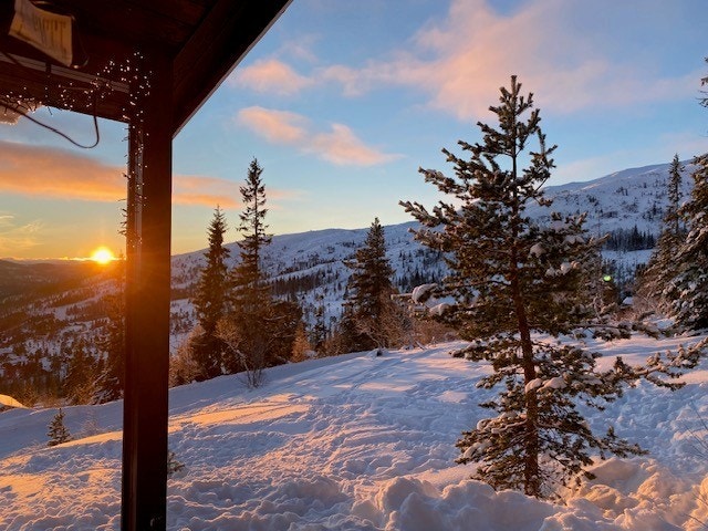 Privat bilde Galleribilde