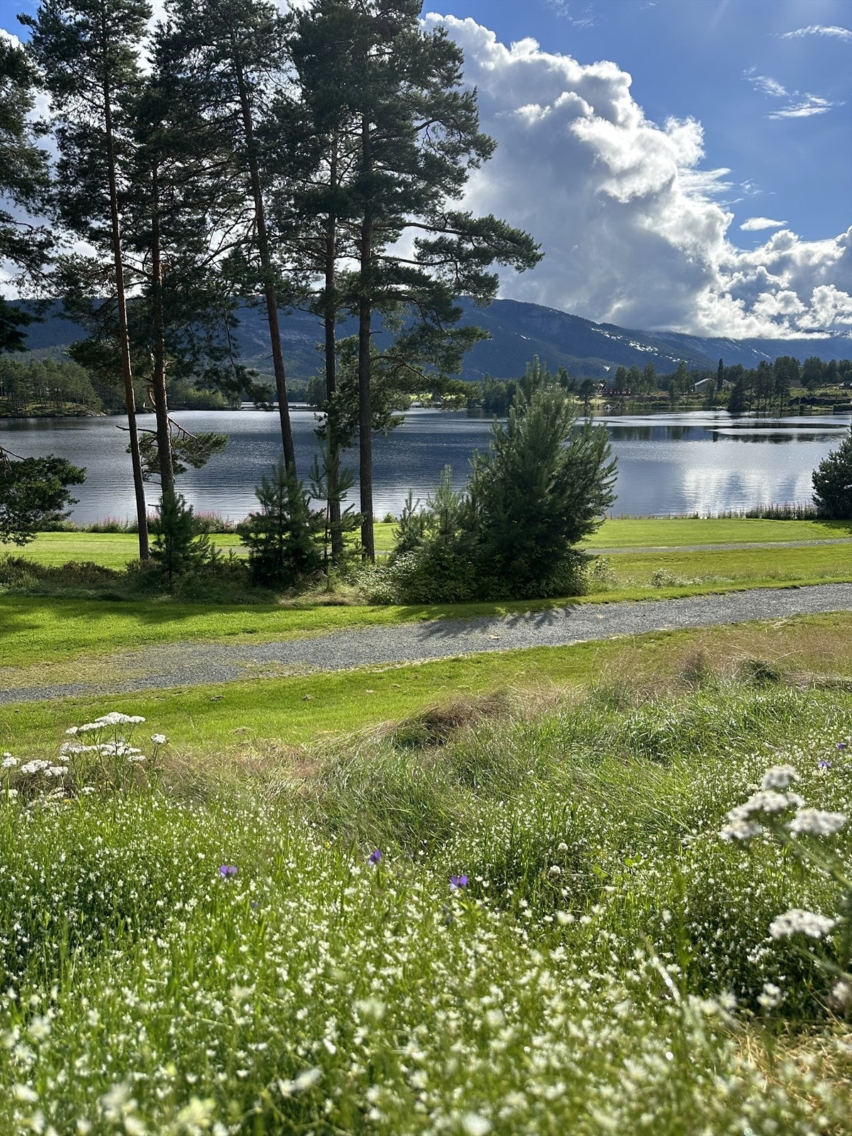 Hytta ligger i kort avstand til Golfbanen på Fossøy -ca 5 min kjøretur Galleribilde