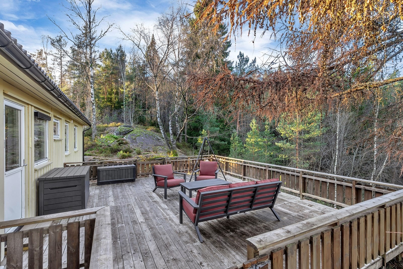 Naturskjønne omgivelser med skogen som nærmeste nabo. Galleribilde