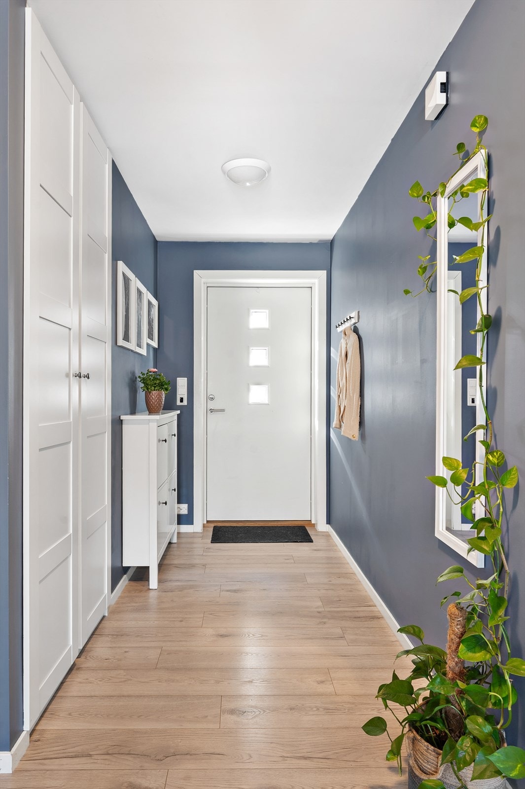 Velkommen inn! Varmekabler og plassbygd garderobe. Galleribilde