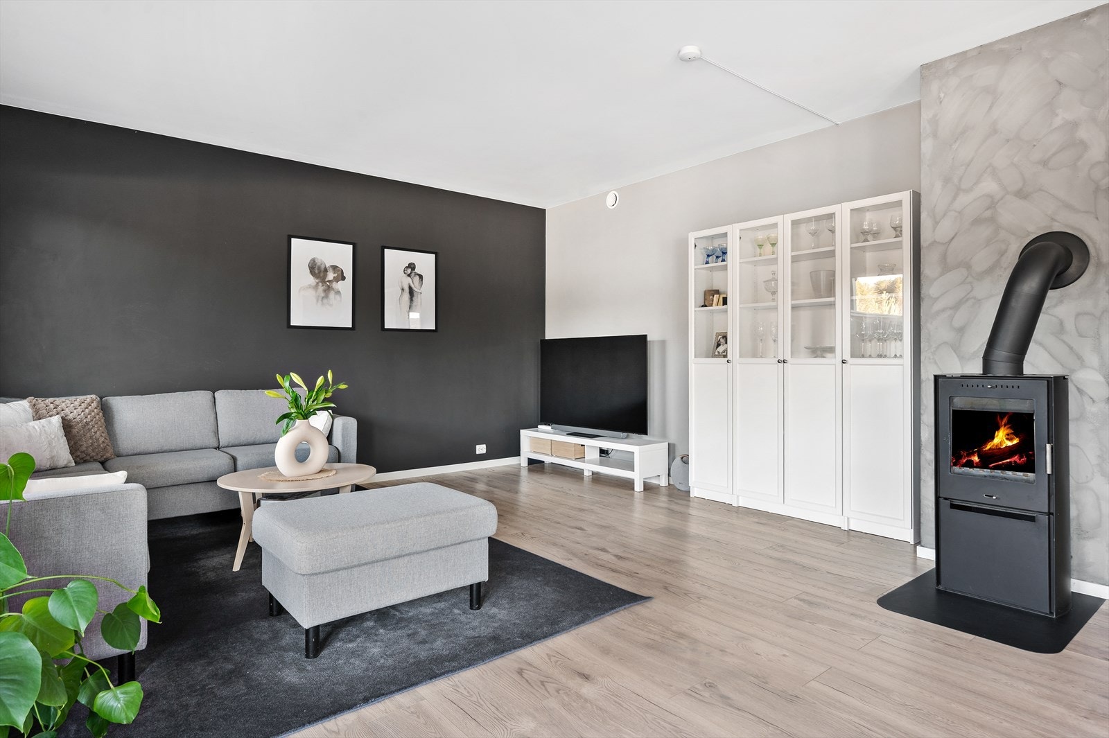 Fin tv/mediekrok. Galleribilde