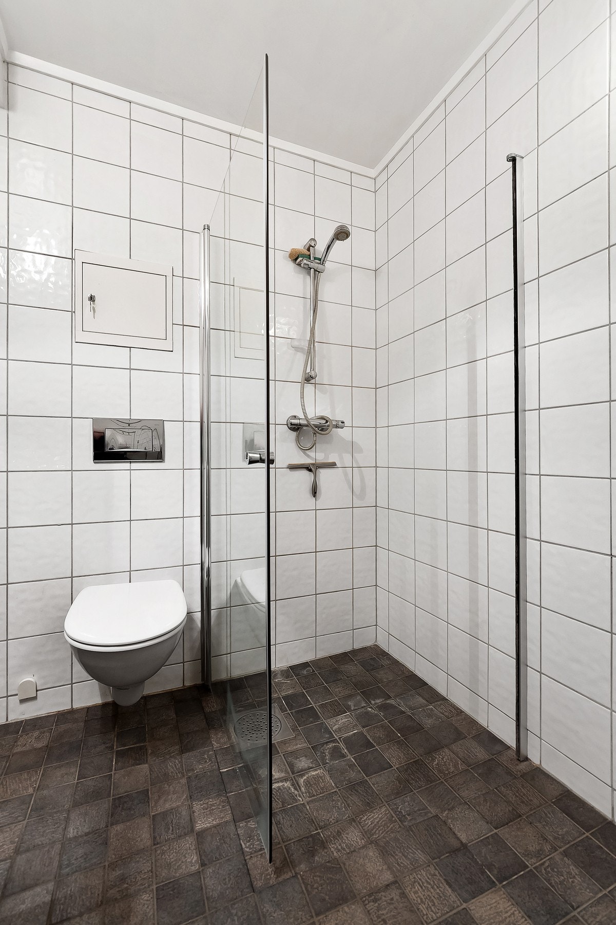 Romslig dusjsone med glassvegger og vegghengt toalett. Galleribilde