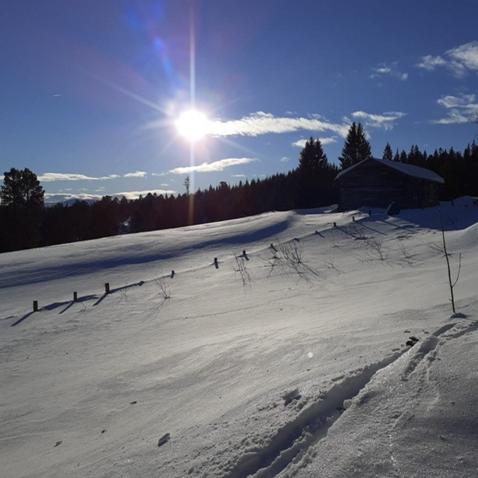 Bilder tatt av selger. Galleribilde