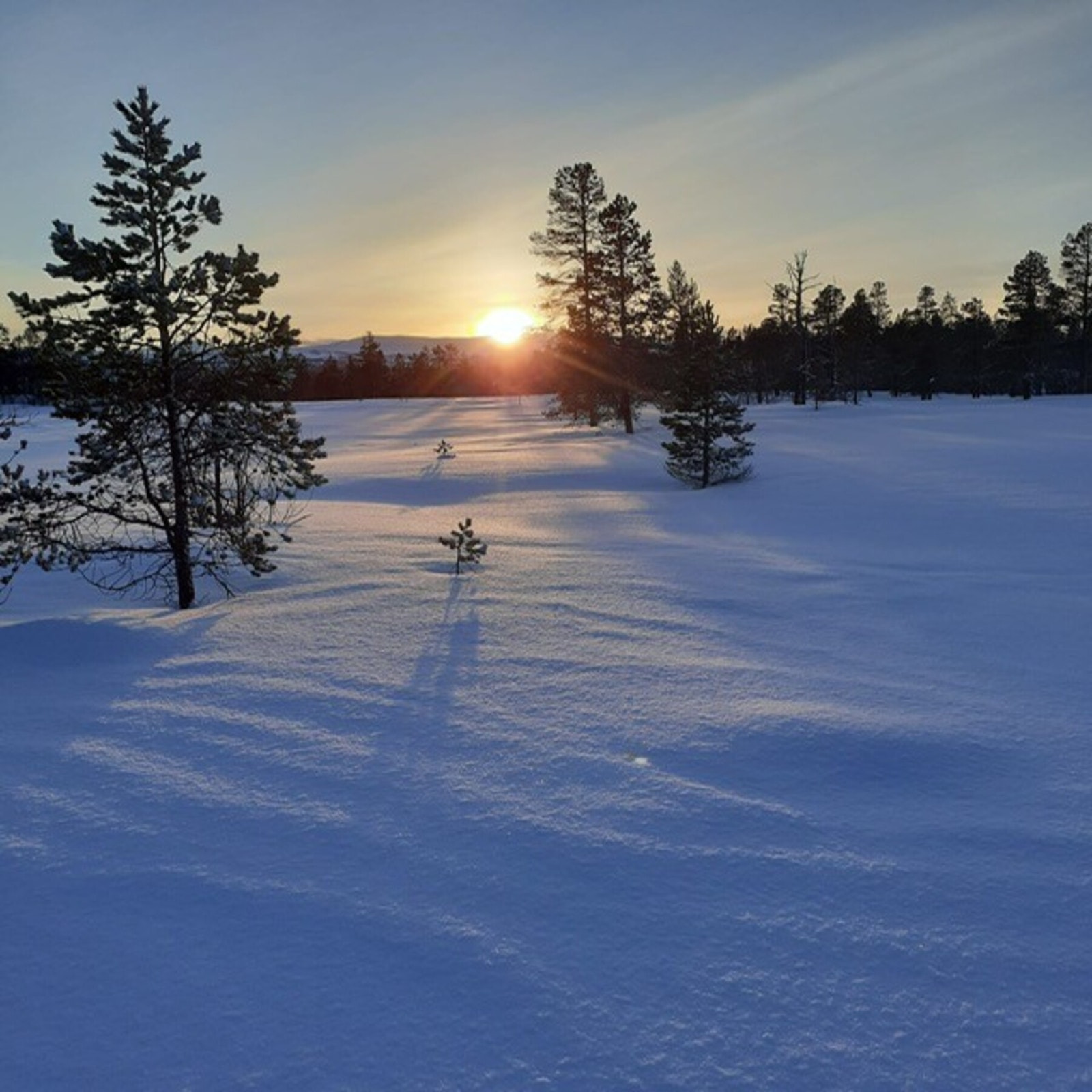 Bilder tatt av selger. Galleribilde