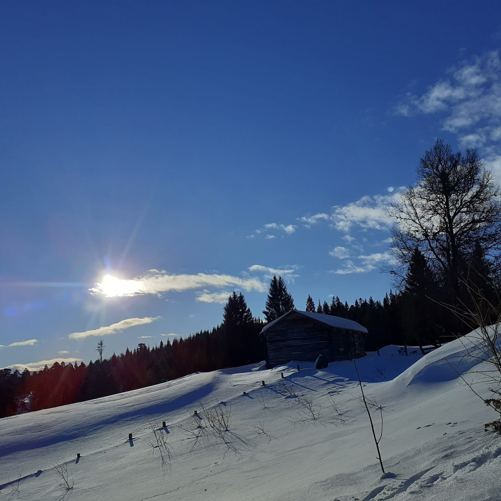 Bilder tatt av selger. Galleribilde