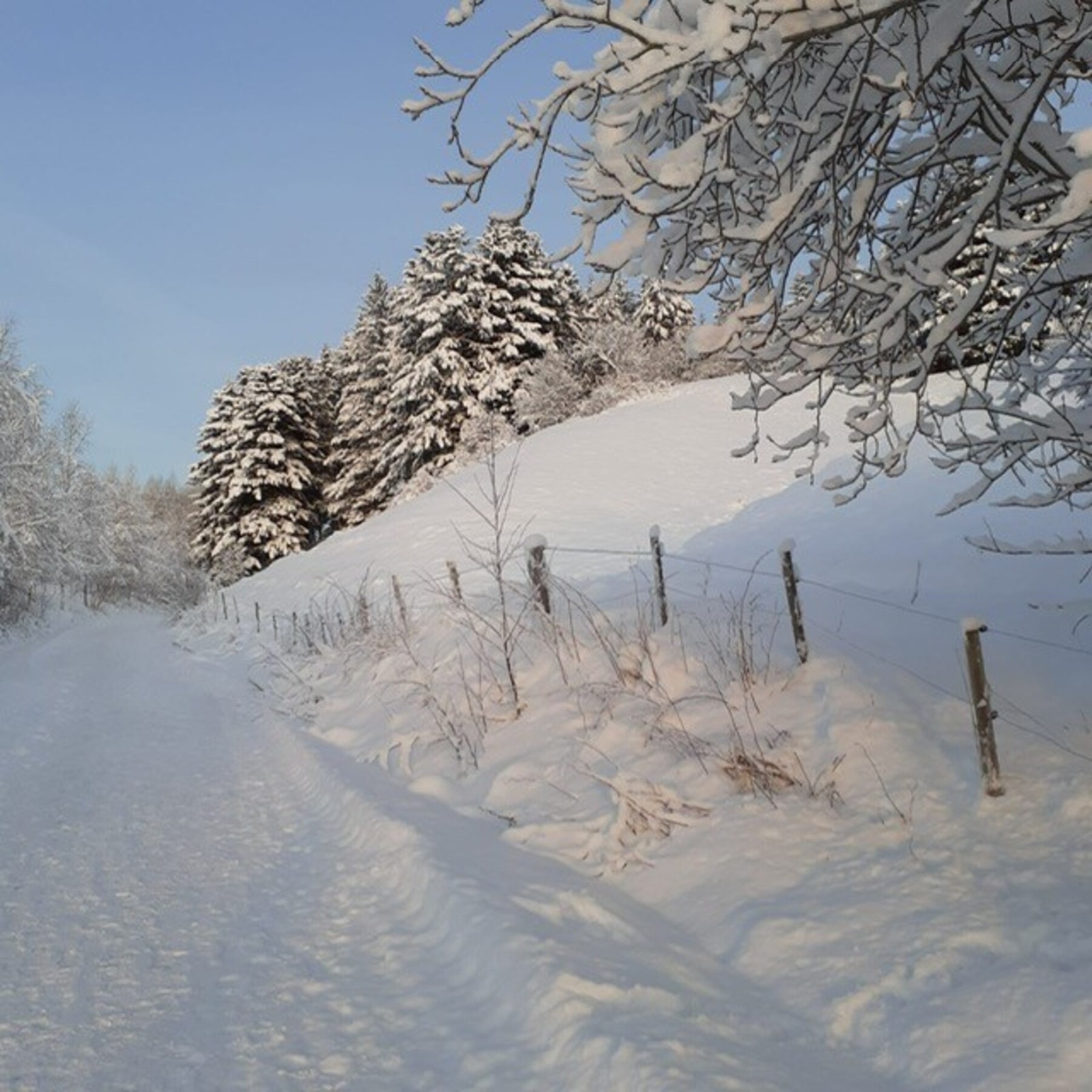 Bilder tatt av selger. Galleribilde