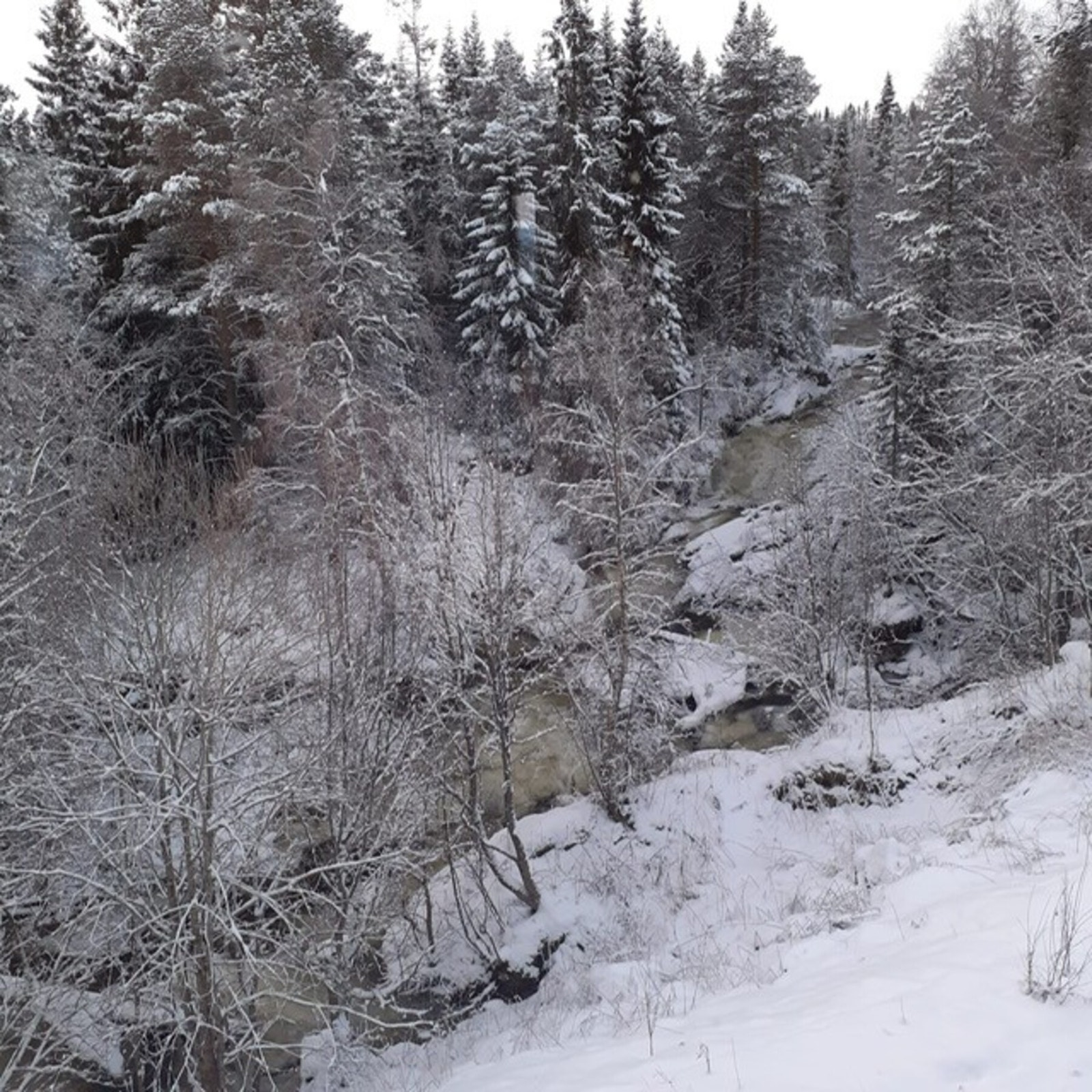 Bilder tatt av selger. Galleribilde