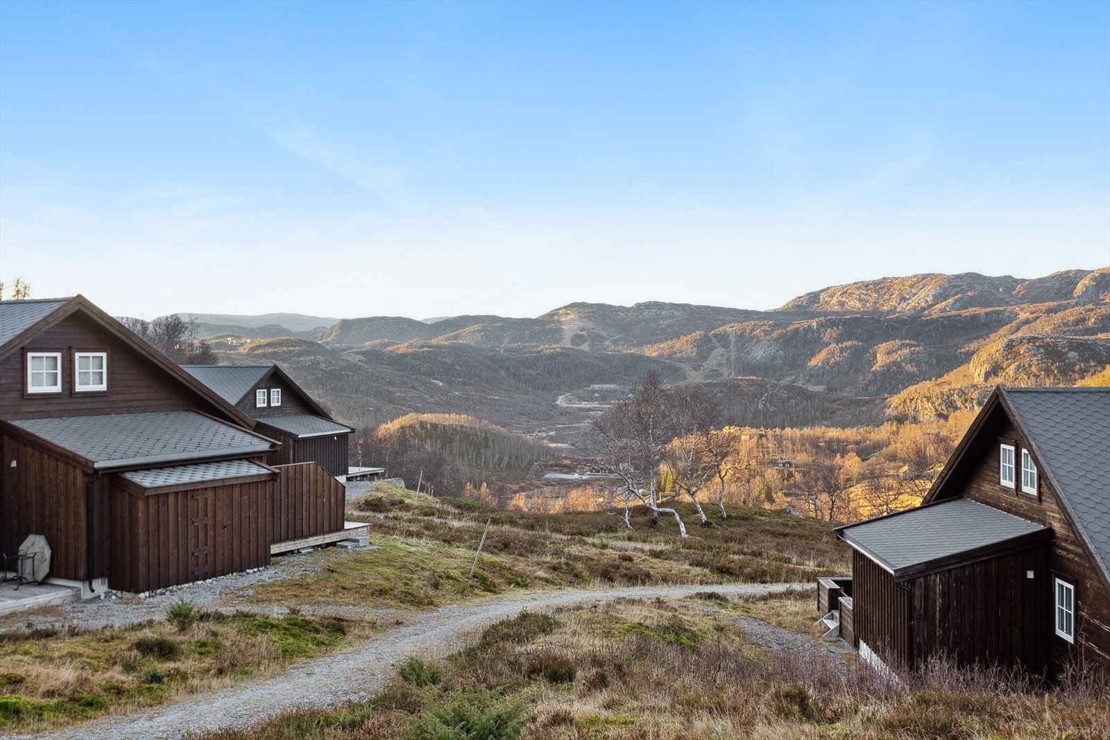 Utsikt. Galleribilde