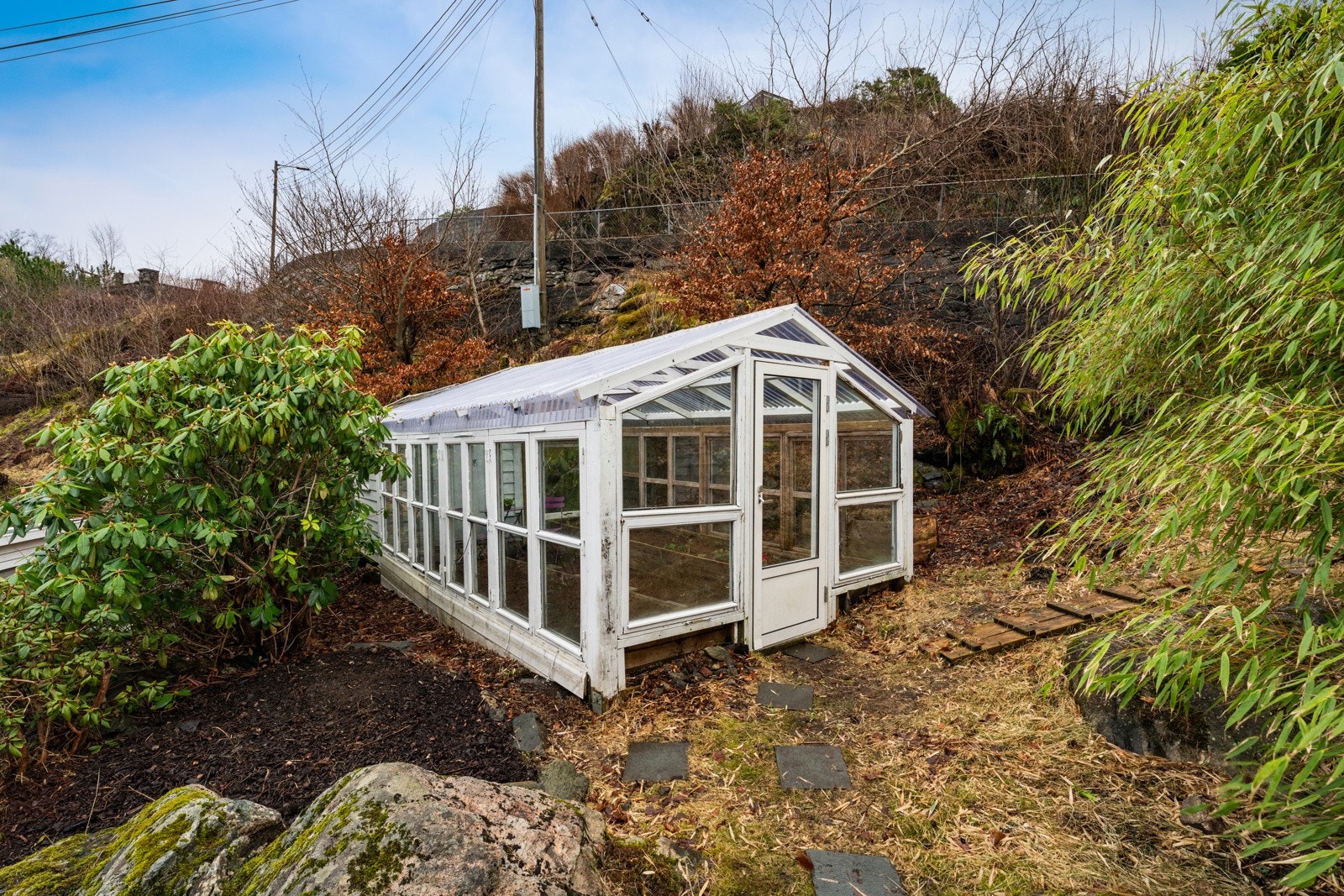 - Drivhus - Galleribilde