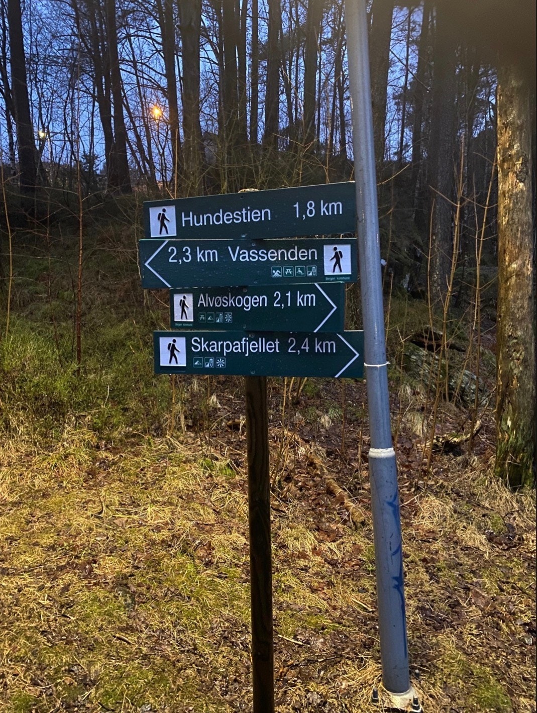 Turområder Galleribilde