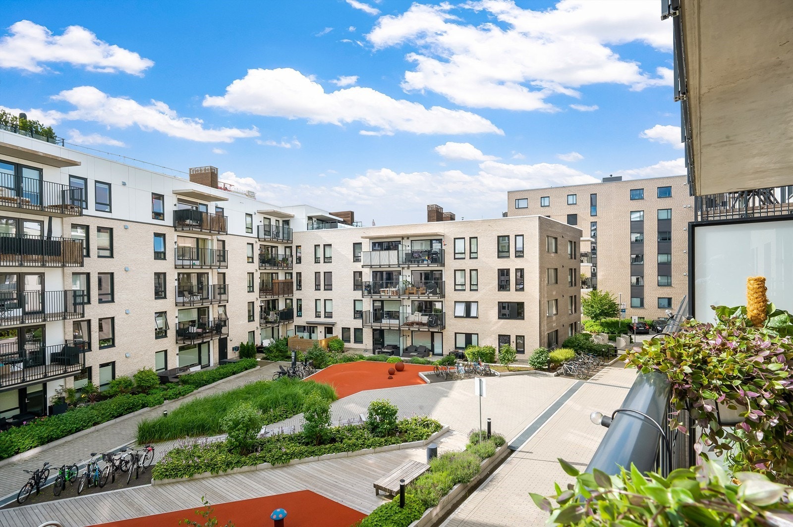 Bilde fra sommer. Galleribilde