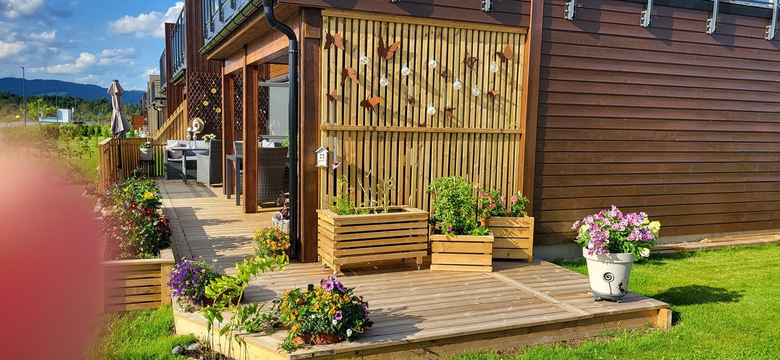 Selgers egne bilder fra sommer Galleribilde