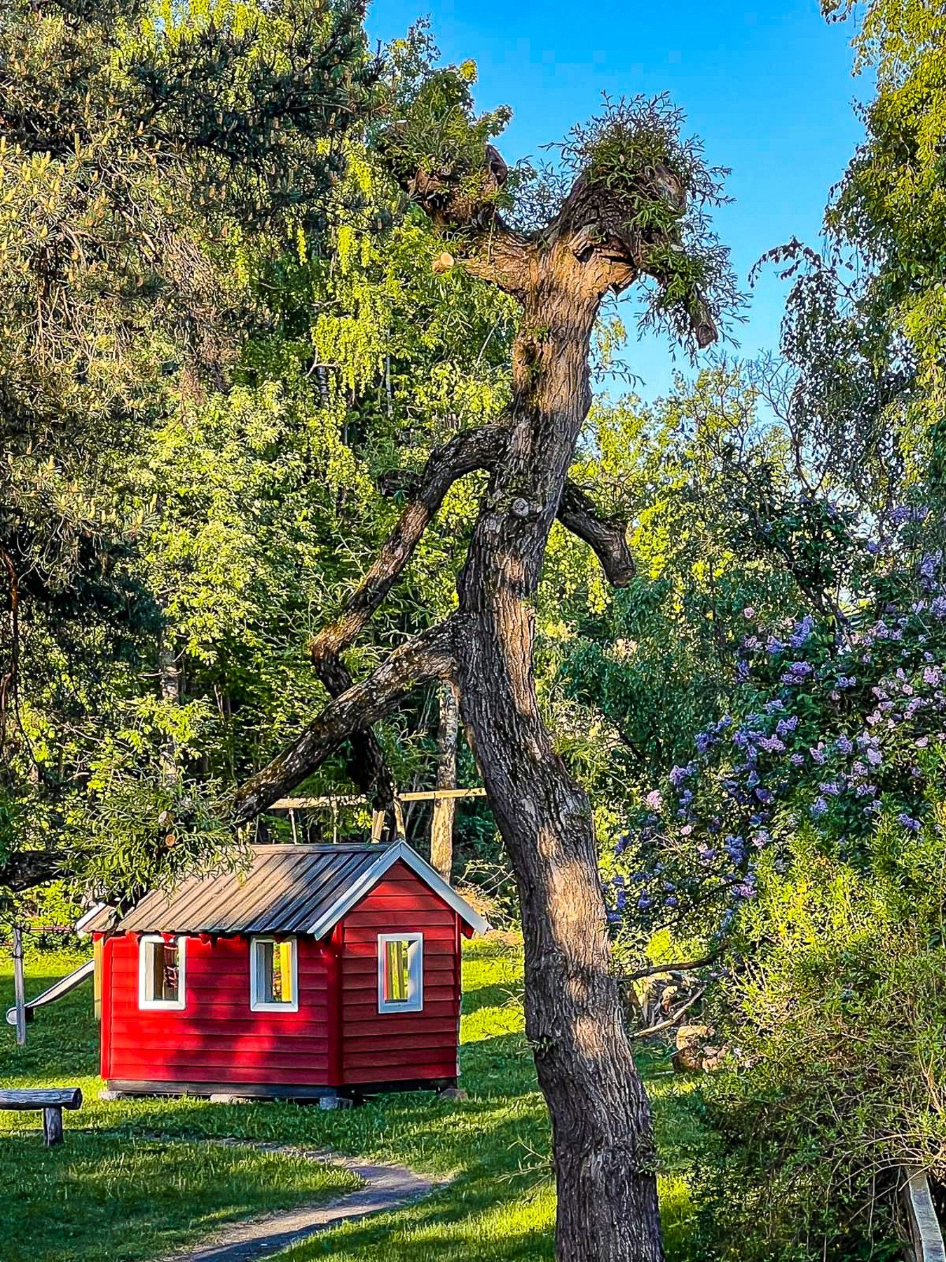 Eiers sommerbilde fra områdene ved lekeplassen nedenfor boligen Galleribilde