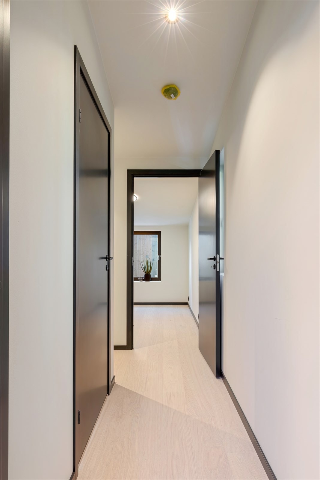 Lys og ryddig gang med tilknytning til flere rom. Galleribilde