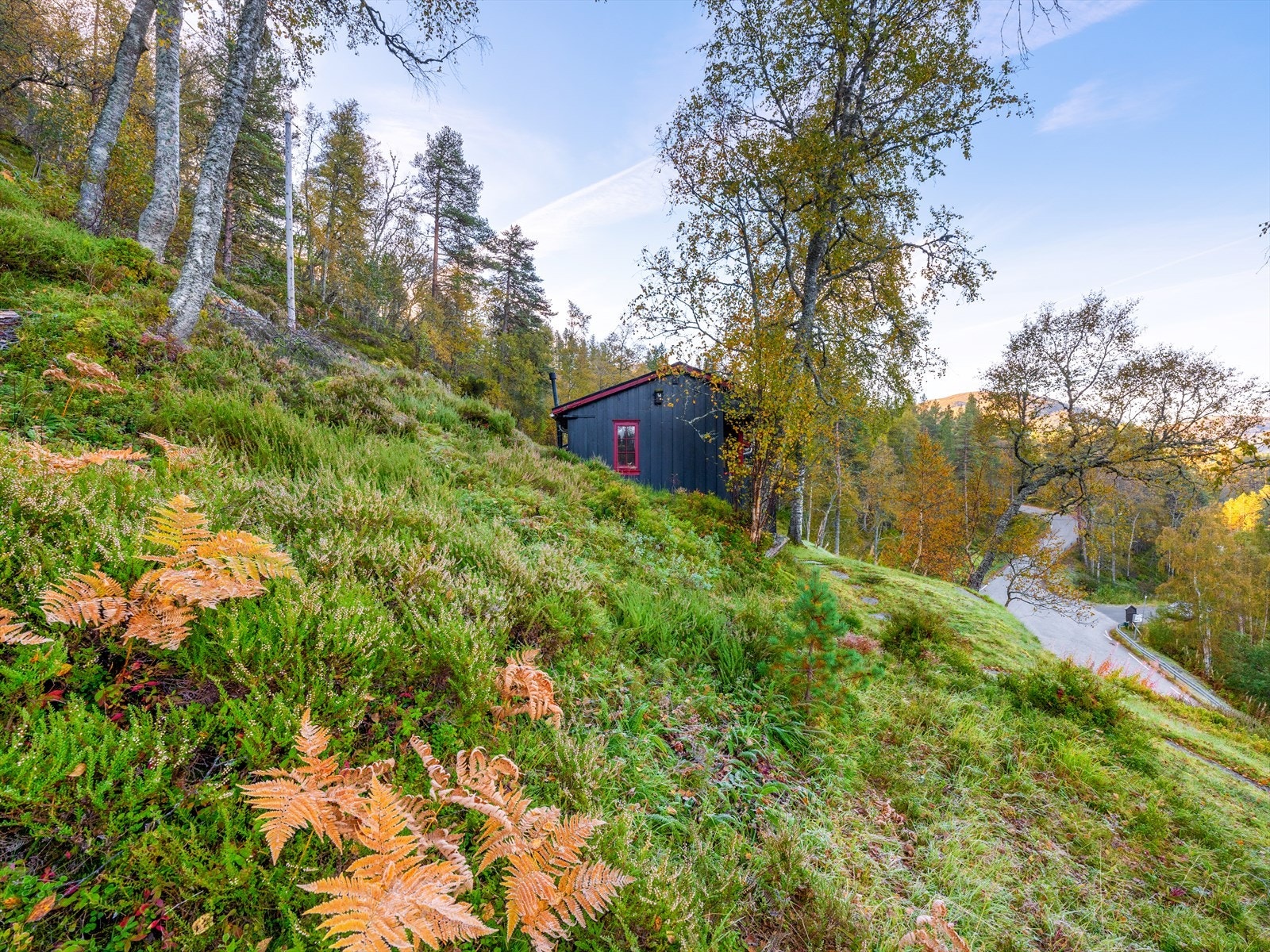 Svakt skrånende terreng med gode solforhold Galleribilde