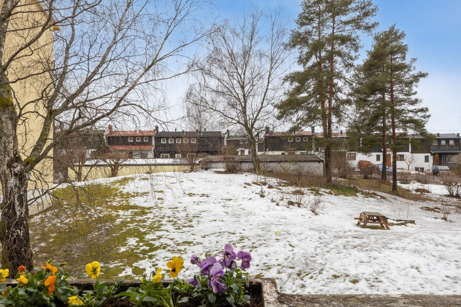 Fra balkongen ser man ut over sameiets store, grønne fellesarealer. Galleribilde
