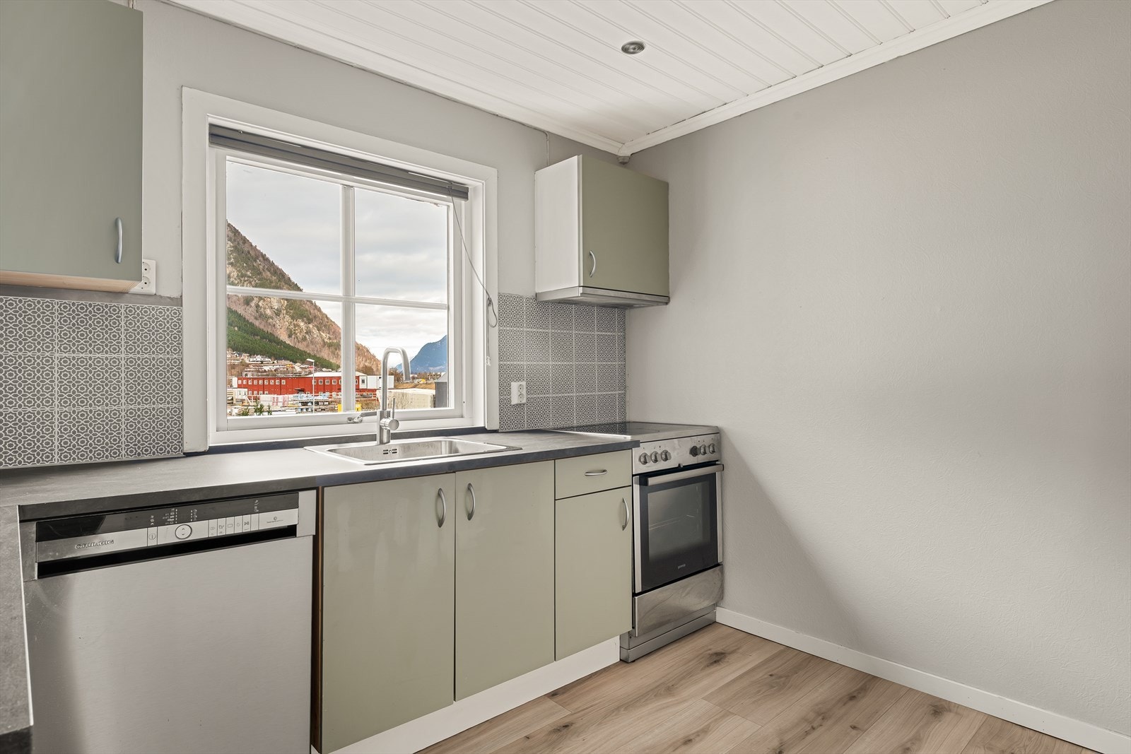 Kjøkkenet er utstyrt med oppvaskmaskin og komfyr. Galleribilde