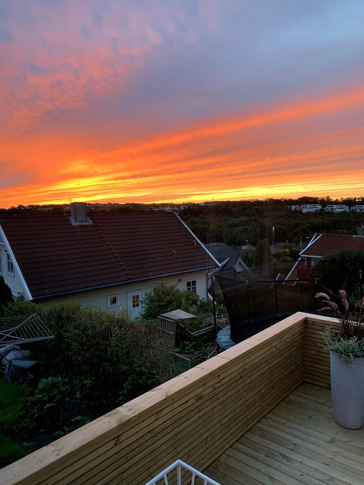 Selgers solnedgangs bilde Galleribilde