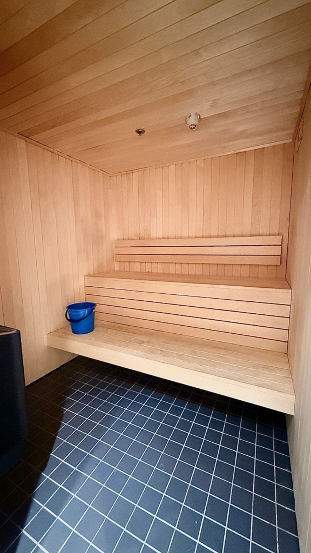 Badstue og dusj i tilknytning til treningsrommet. Galleribilde