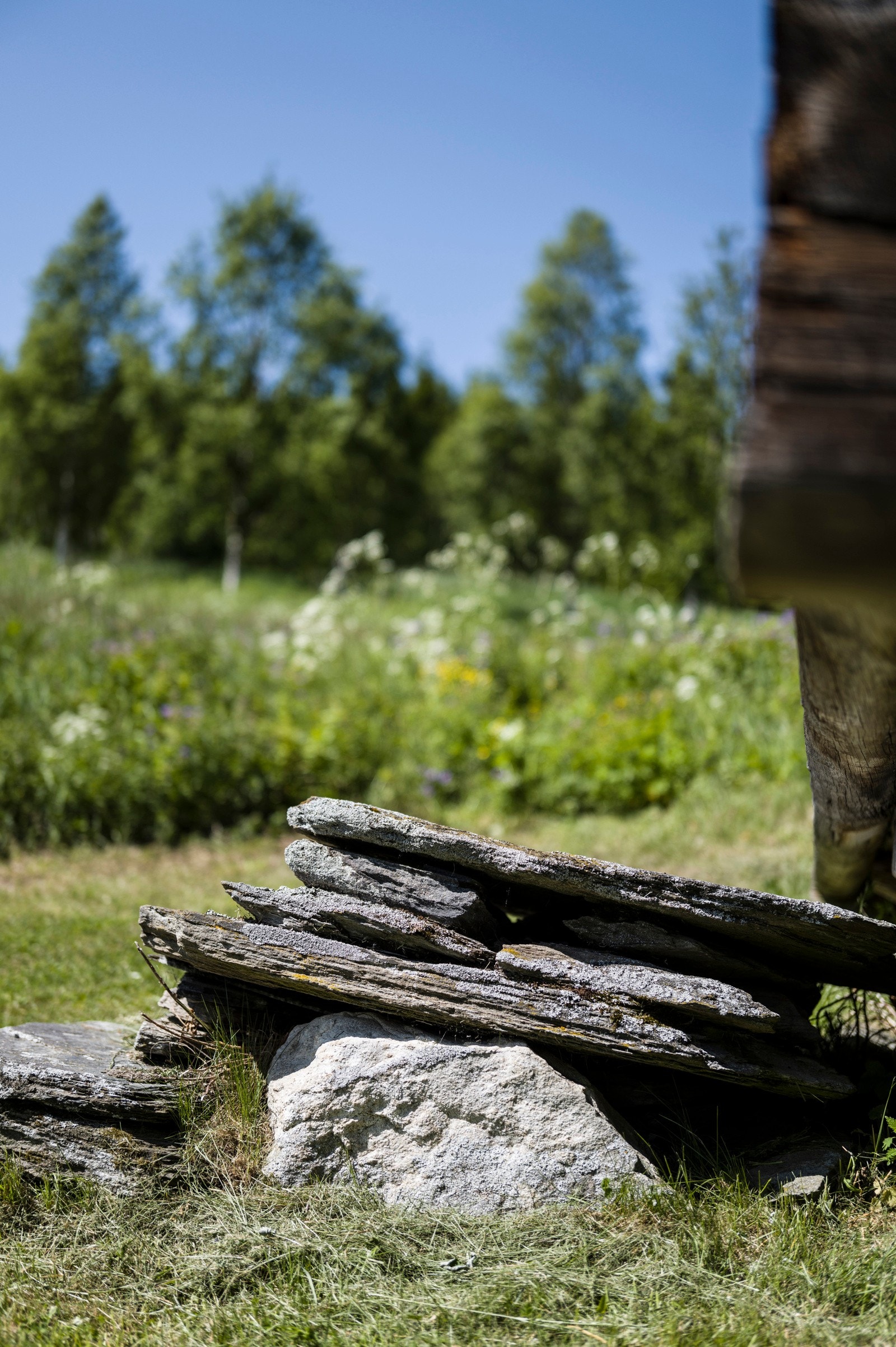 Detalj. Galleribilde