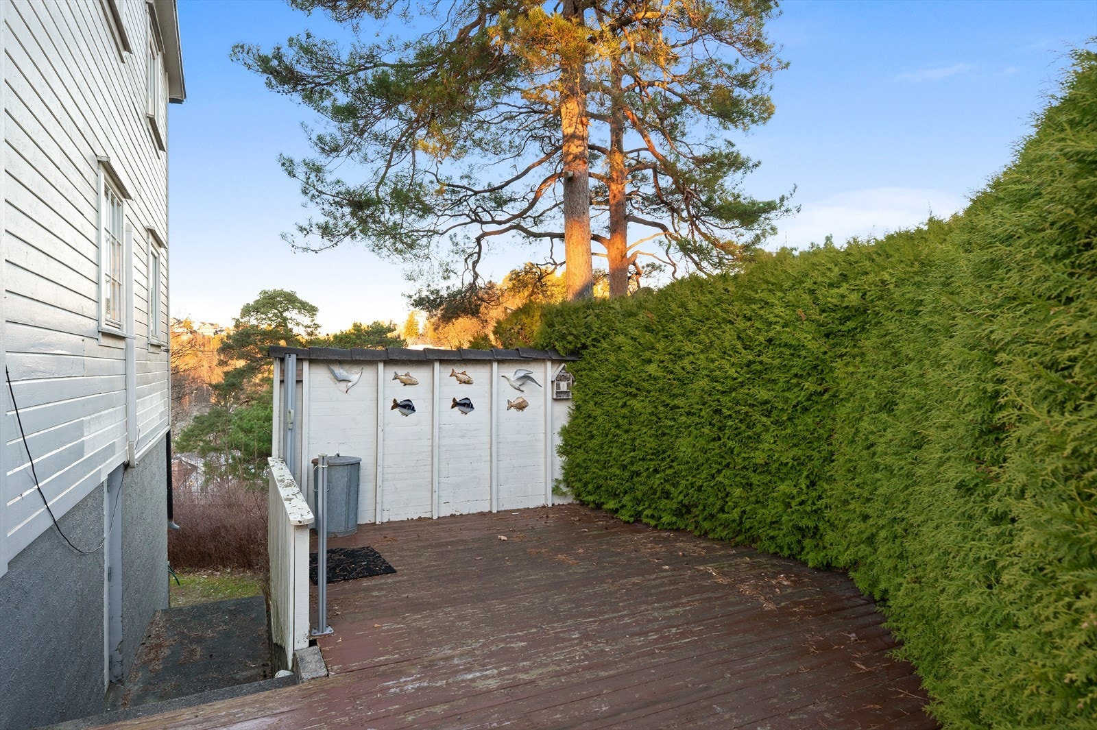 Uteplass med treplatting, gjerde og tujahekk. Galleribilde