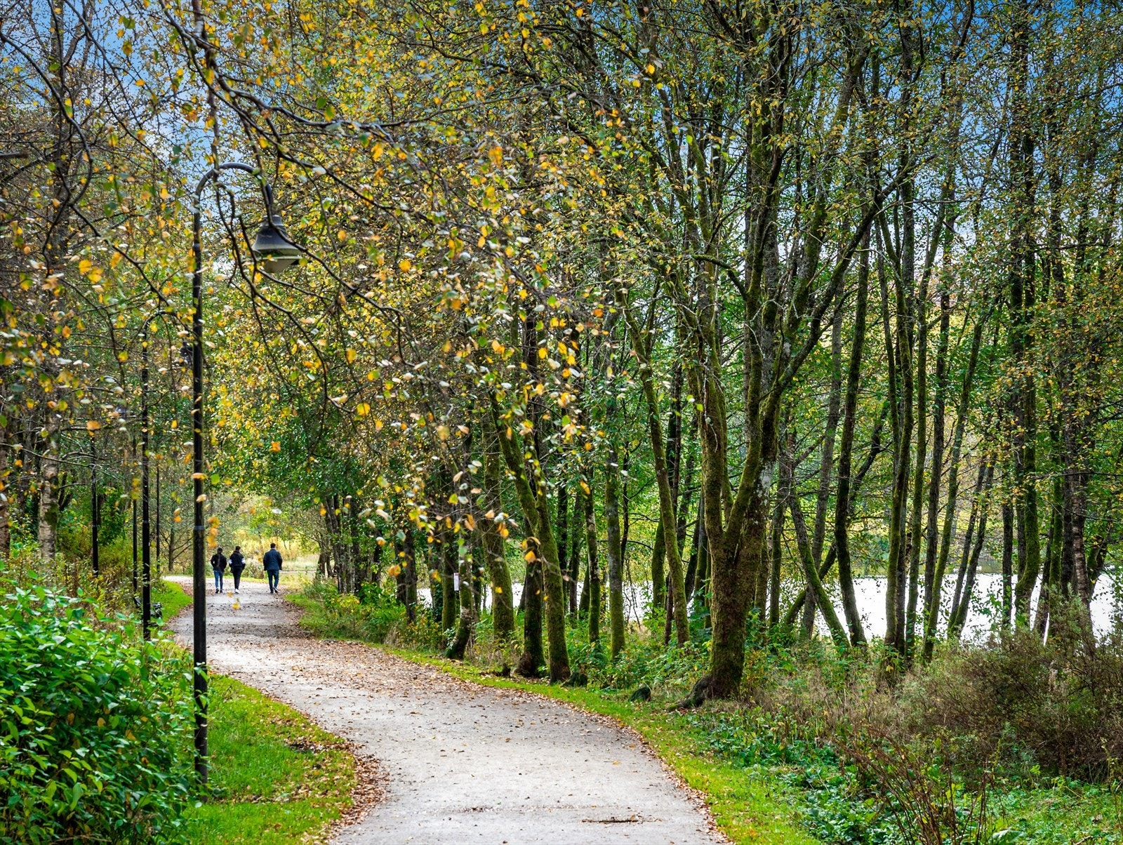 Ortunvannet Galleribilde