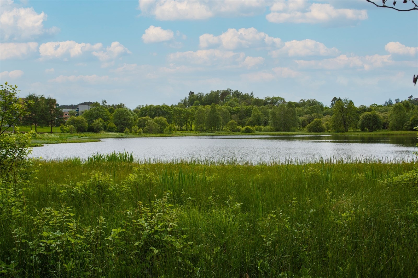 Fine turmuligheter rundt Ortunvannet som ligger like ved. Galleribilde