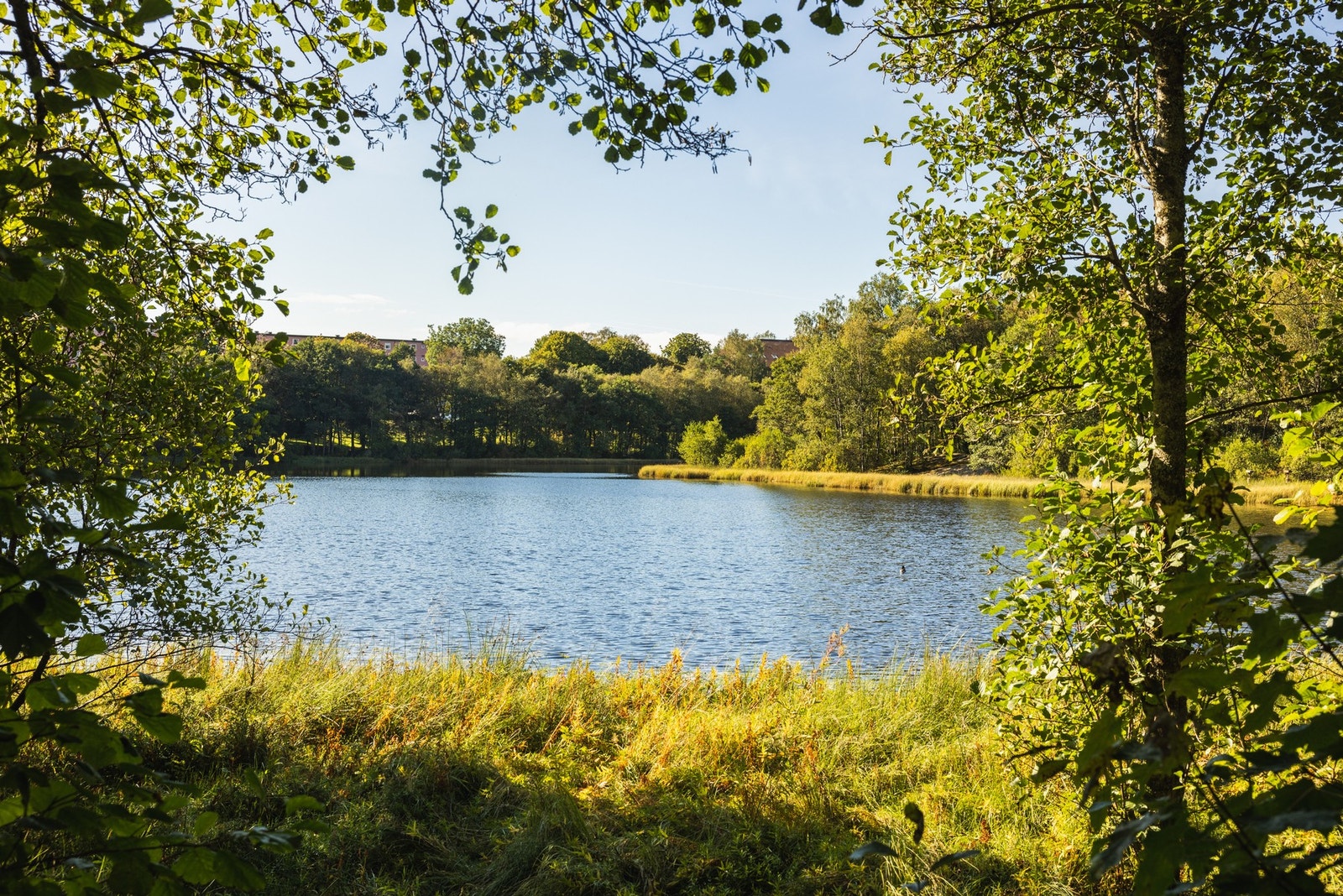 Fyllingsdalen Ortuvannet Galleribilde