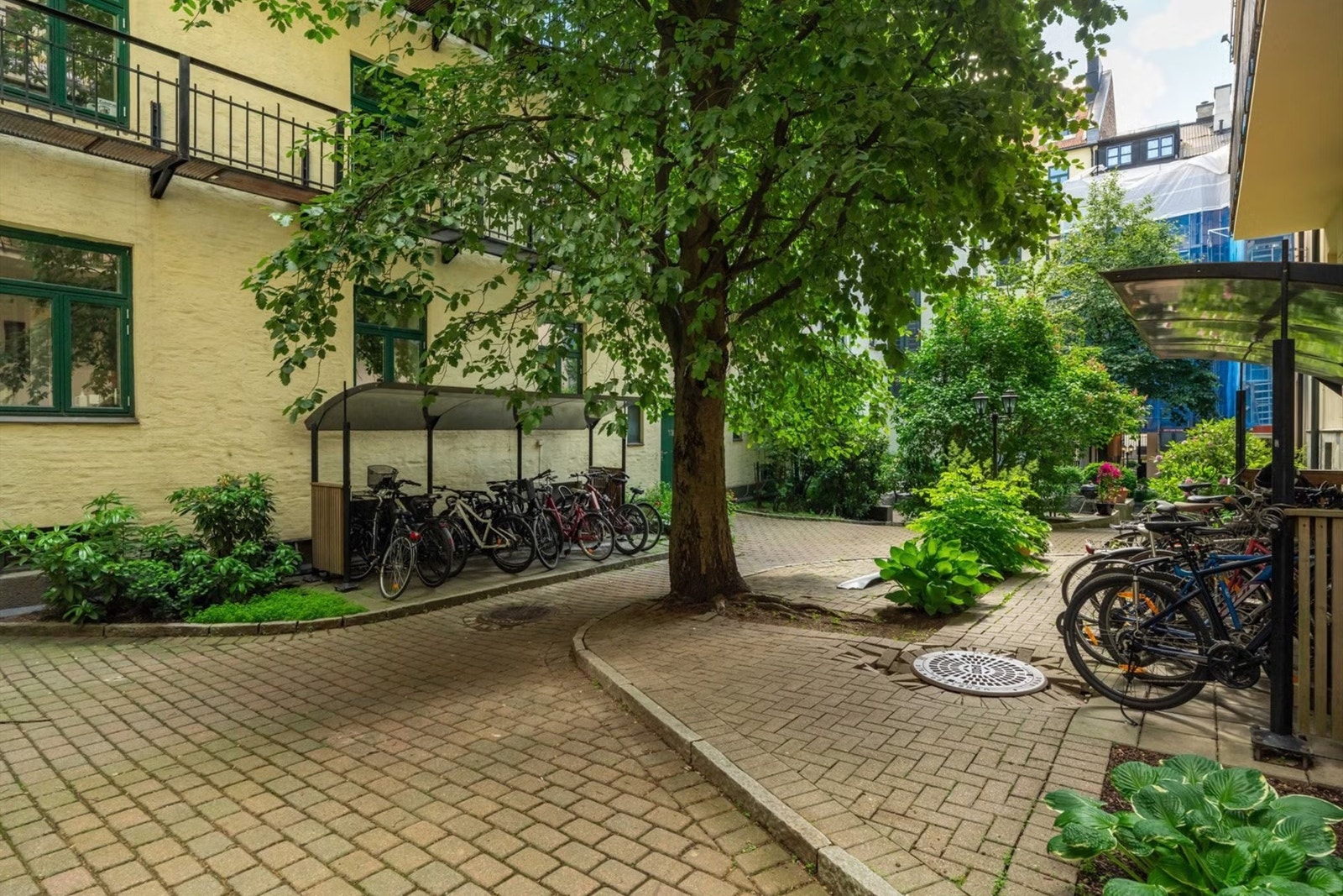 Hyggelig og skjermet bakgård med gode oppbevaringsmuligheter for sykkel. (Kumlokket på bildet har blitt fikset siden bildet ble tatt) Galleribilde