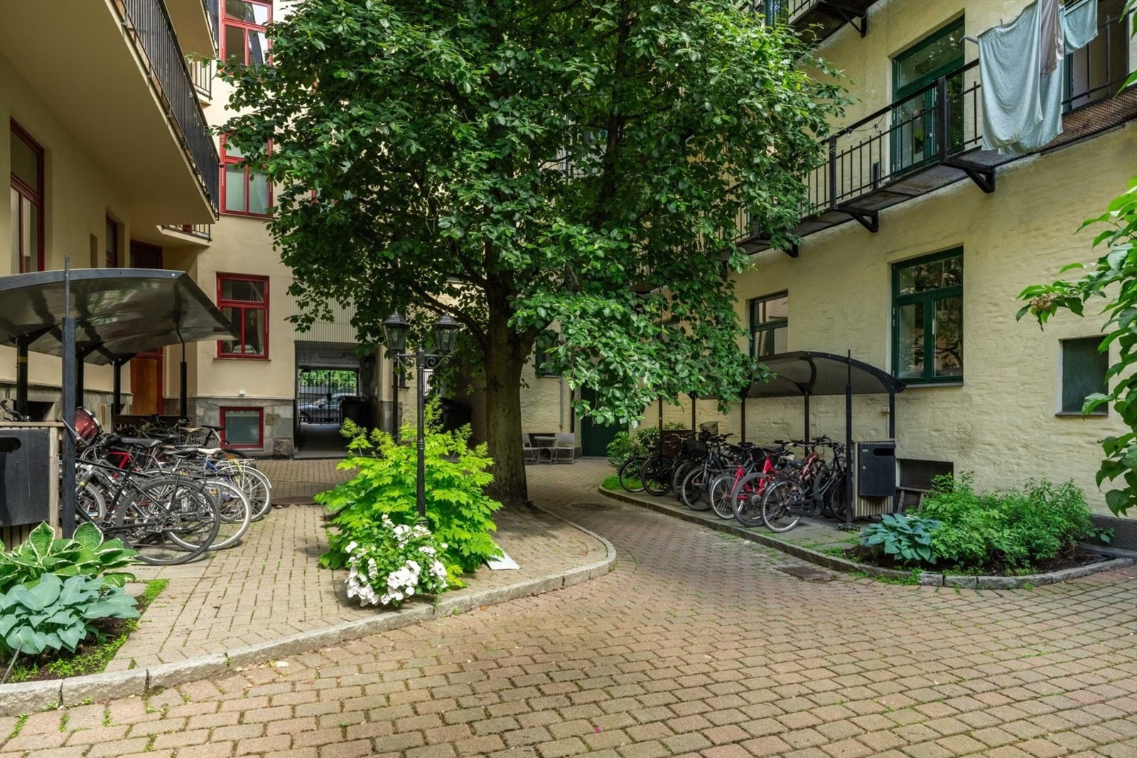 Lun og frodig bakgård som gir en rolig atmosfære midt i byen. Galleribilde