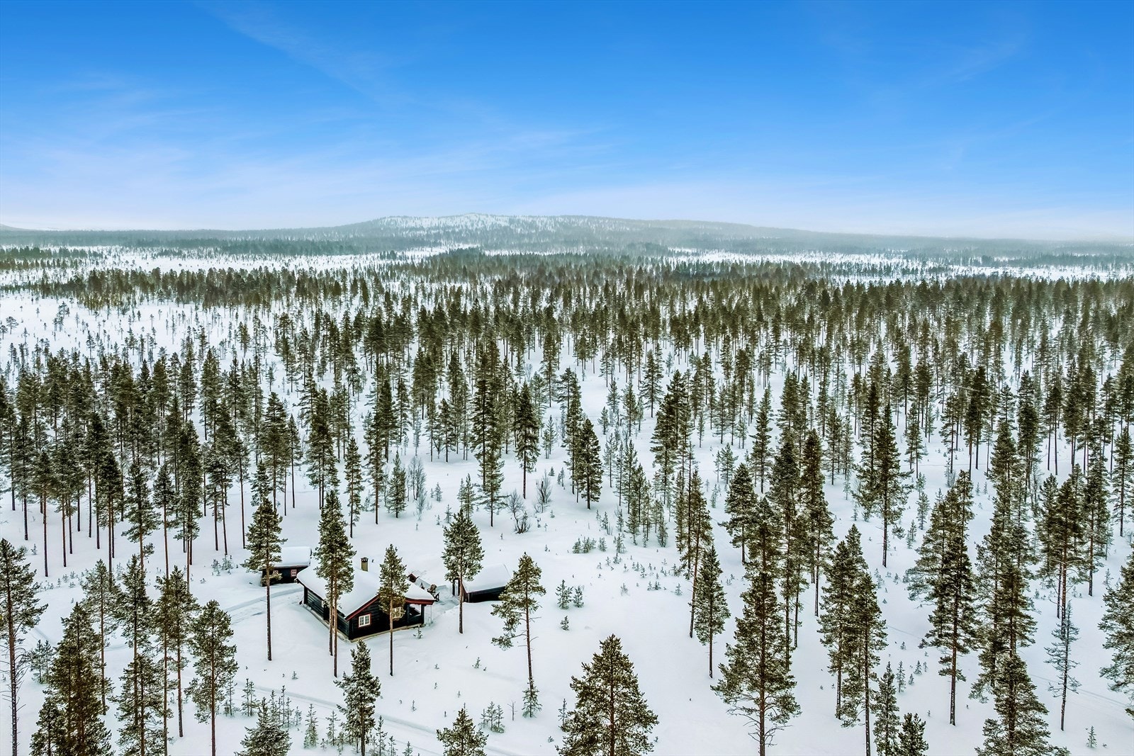 Eiendommen ligger usjenert til i et område preget av skog og fjellterreng. Galleribilde