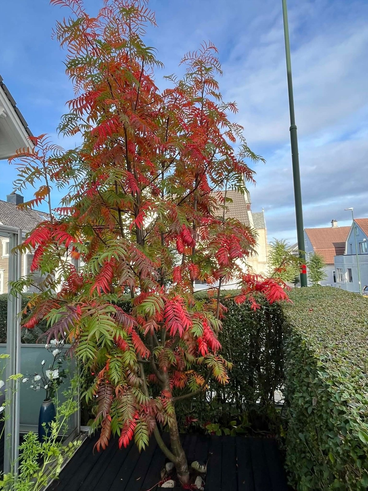 Privat bilde. Galleribilde