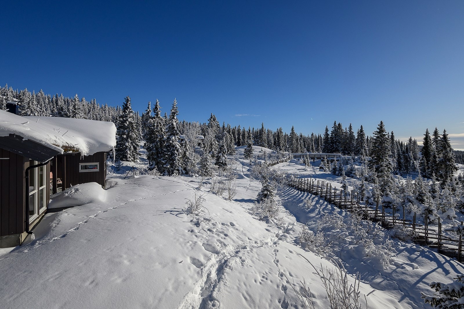 Eiendommen ligger i et lett skrånet terreng med umiddelbar nærhet til naturen. Galleribilde